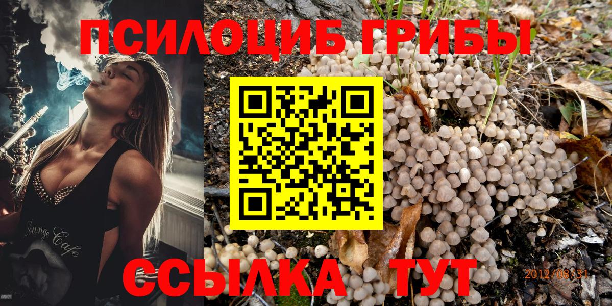 Псилоцибиновые грибы Psilocybine cubensis  Галлюциногенные грибы прущие грибы  Североуральск 