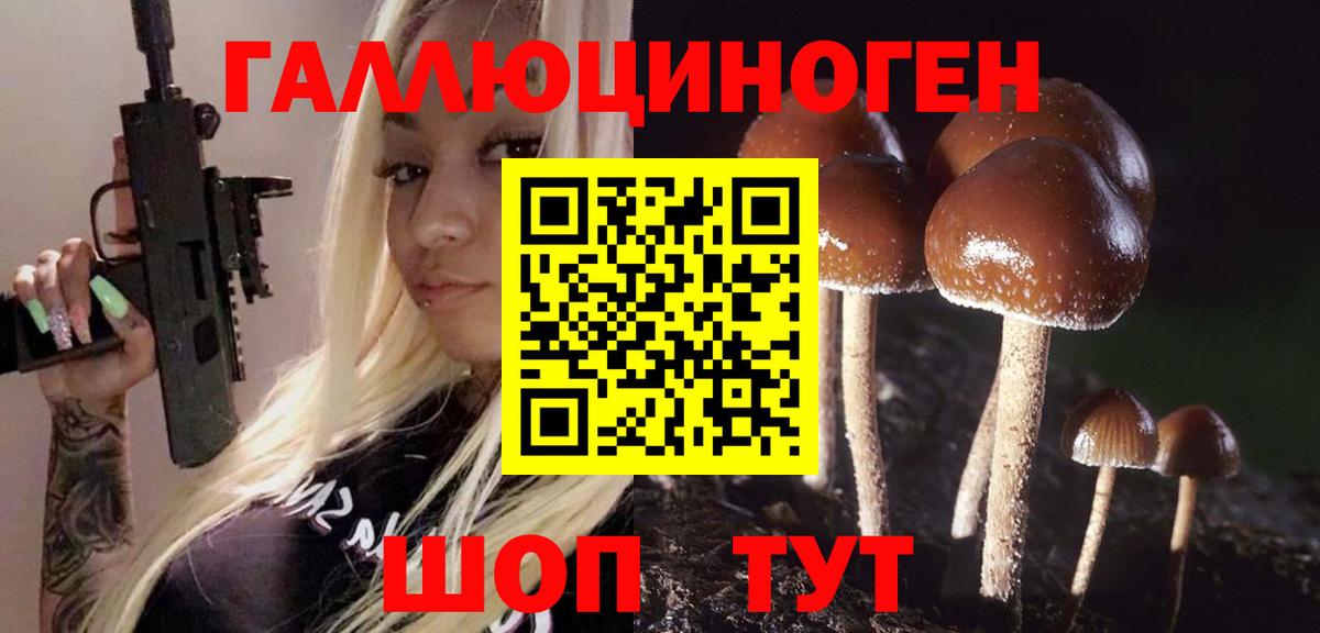 Галлюциногенные грибы Psilocybe Североуральск