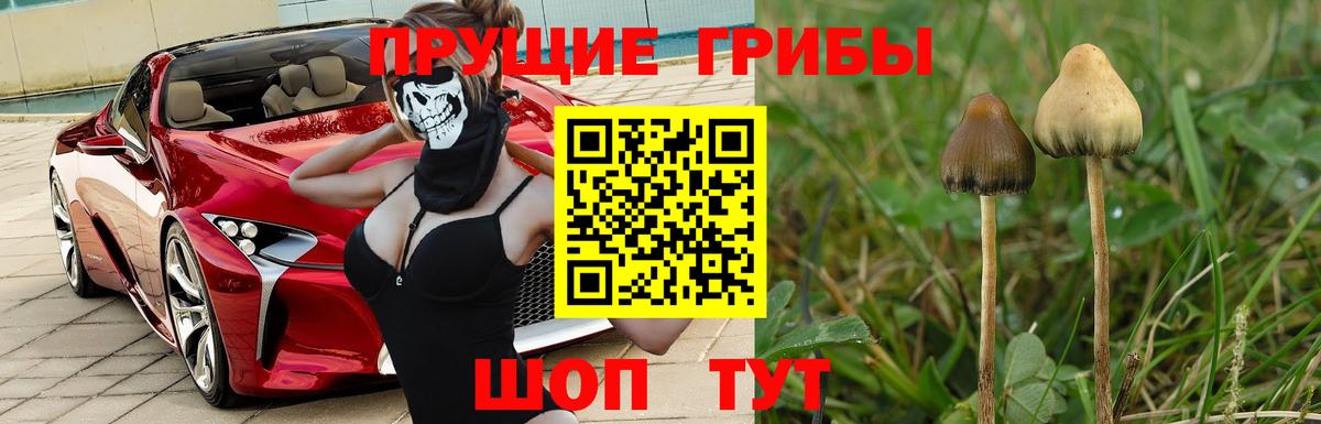 Галлюциногенные грибы Magic Shrooms  Вход с VPN  Североуральск 